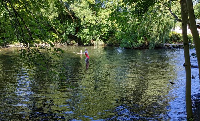 wild swimming spot on site